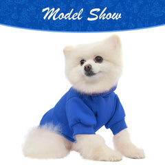 KOOLTAIL Basic Dog Hoodie blue sporty-fit highlights stylish warmth