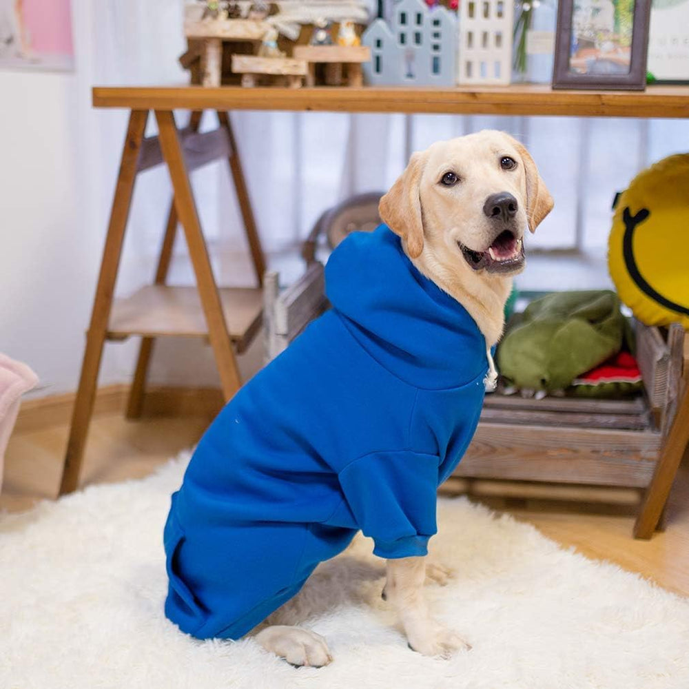 KOOLTAIL Basic Dog Hoodie care label emphasizing machine-washable convenience
