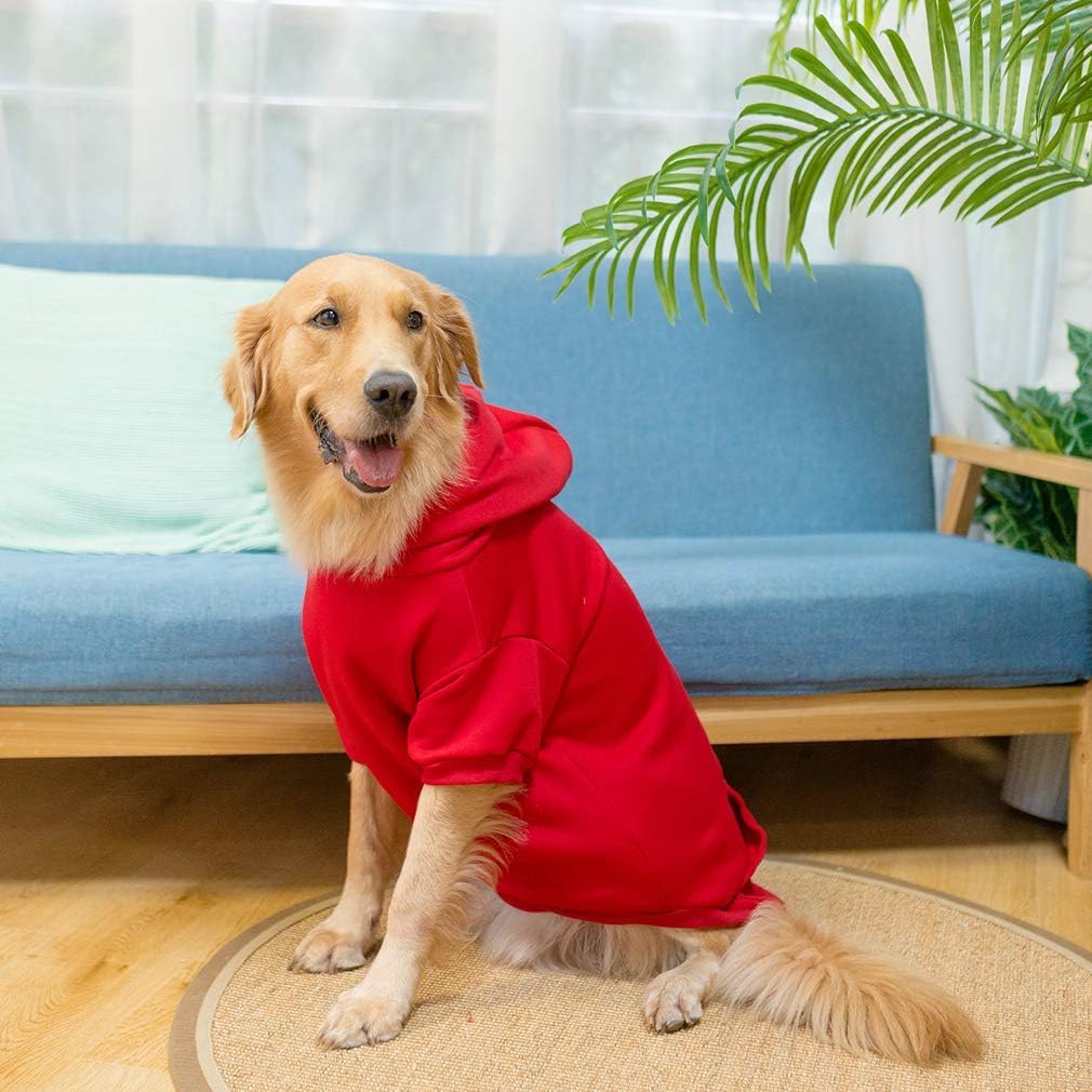 KOOLTAIL Basic Dog Hoodie color options display offers versatile style choices.