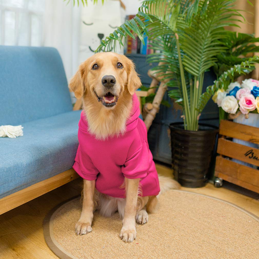 KOOLTAIL Basic Dog Hoodie available in multiple colors for every style