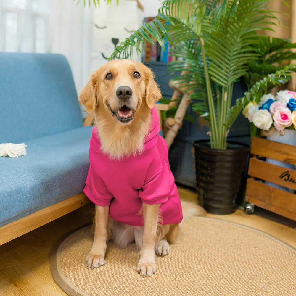 KOOLTAIL Basic Dog Hoodie available in multiple colors for every style