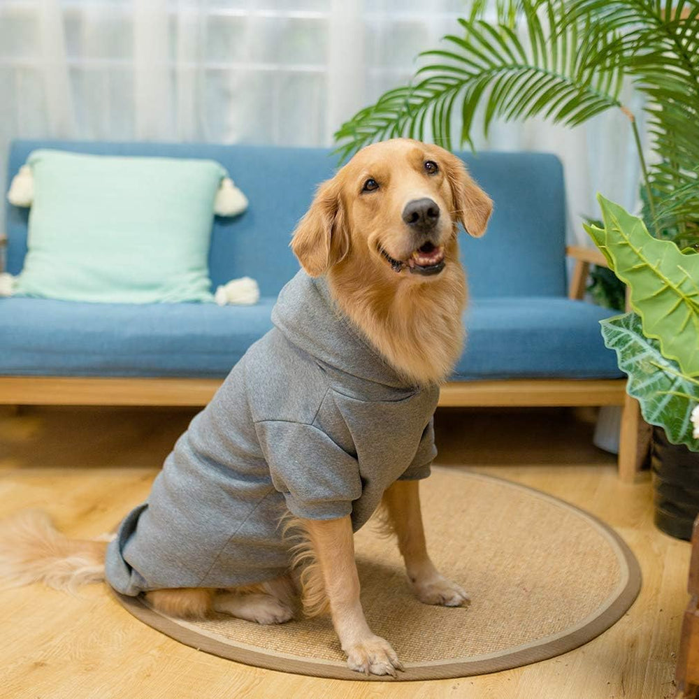 KOOLTAIL Basic Dog Hoodie color variations show multiple color options.