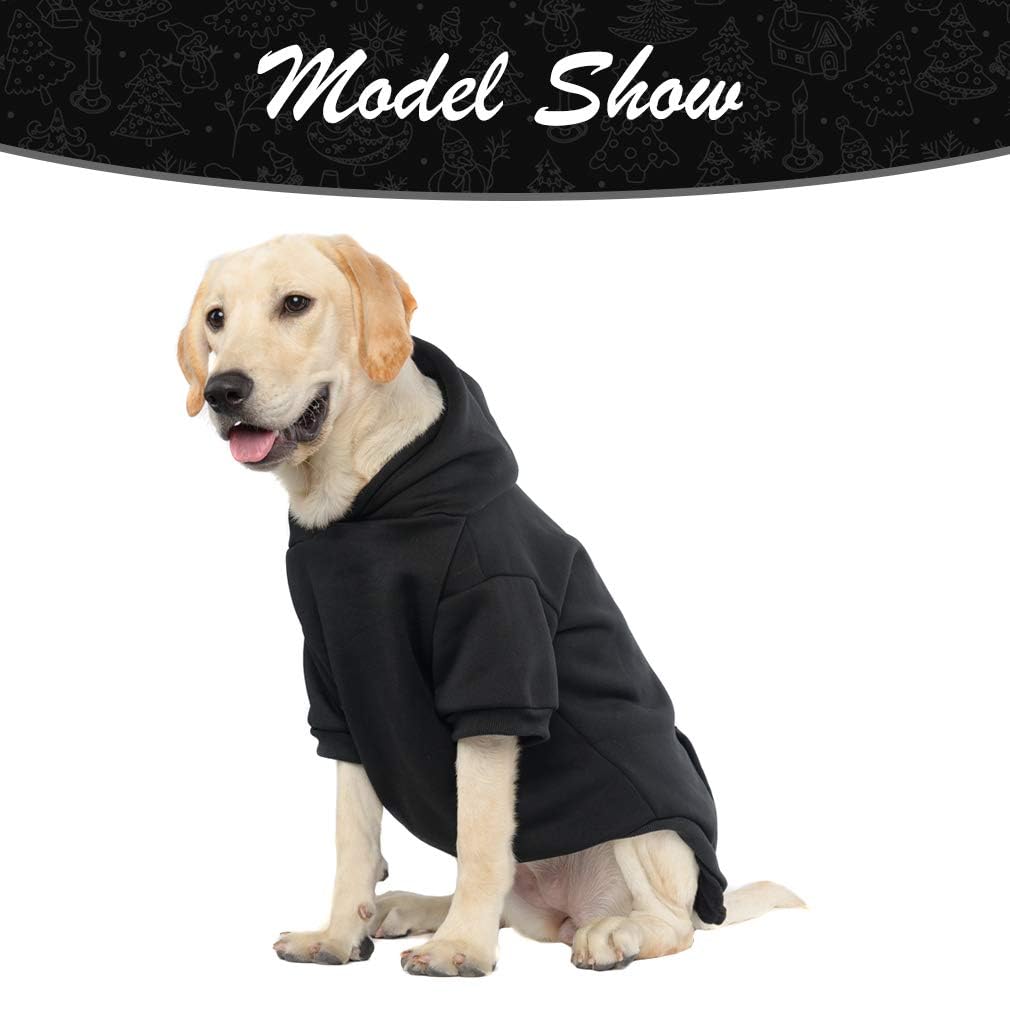 KOOLTAIL Basic Dog Hoodie wear-tested fit on multiple breeds.