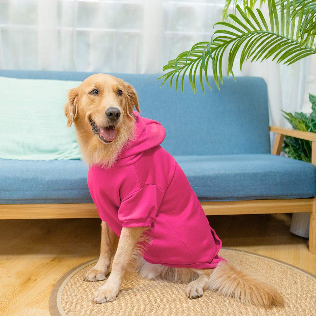 KOOLTAIL Basic dog hoodie hood and pocket close up reveals durable stitching