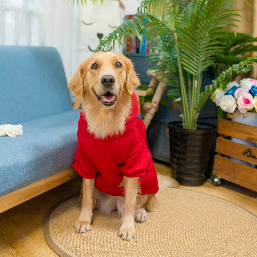 KOOLTAIL Basic Dog Hoodie inside nap lining keeps dogs warm and comfy.