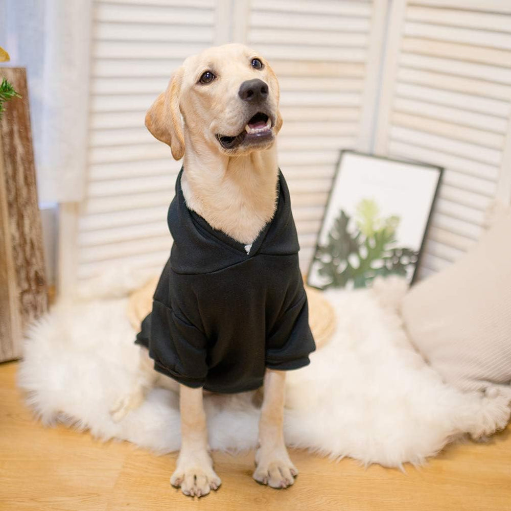 KOOLTAIL Basic Dog Hoodie machine-washable for easy care.