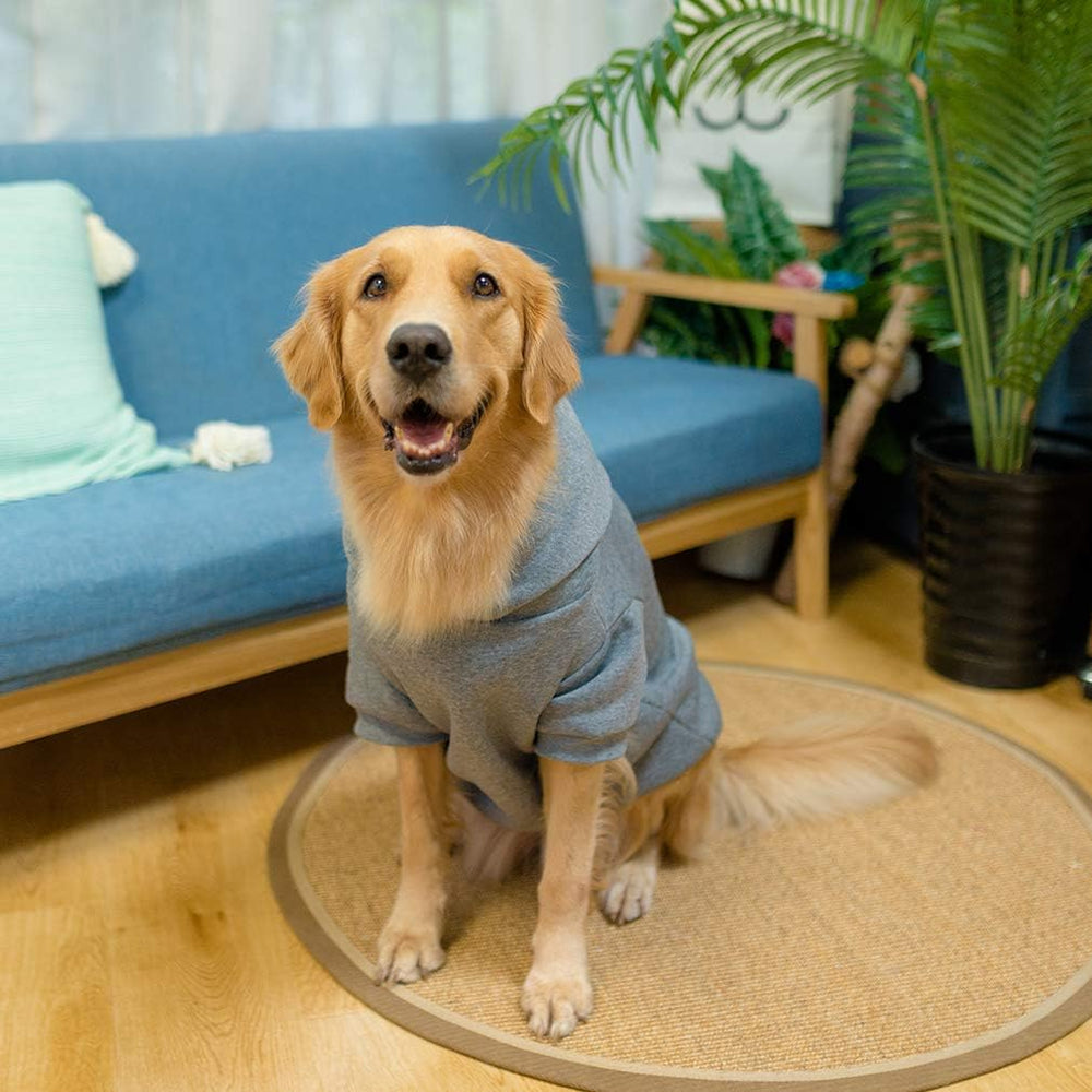 KOOLTAIL Basic Dog Hoodie machine-washable design simplifies cleaning after adventures.