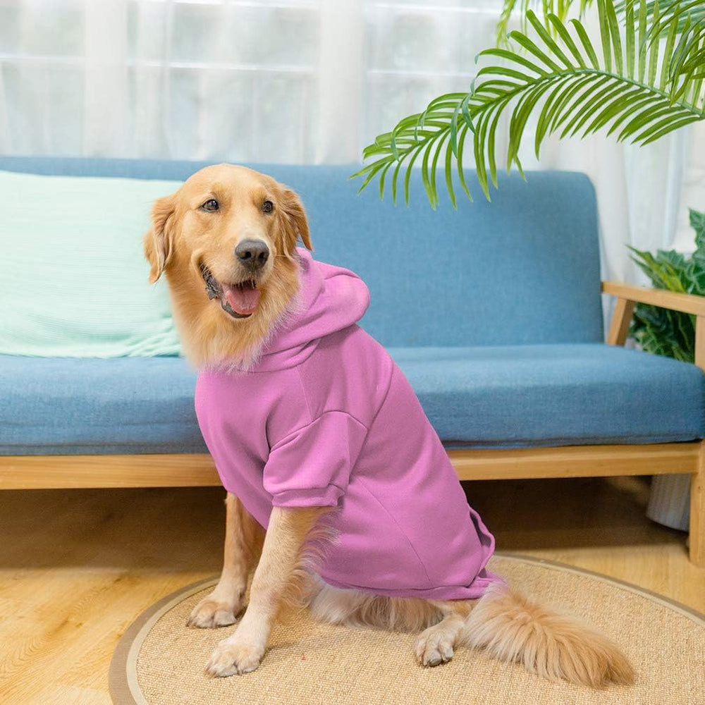 KOOLTAIL Basic Dog Hoodie size-chart-illustration helps find the right fit.