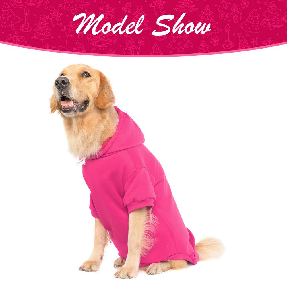 KOOLTAIL Basic dog hoodie street style emphasizes stylish coat look