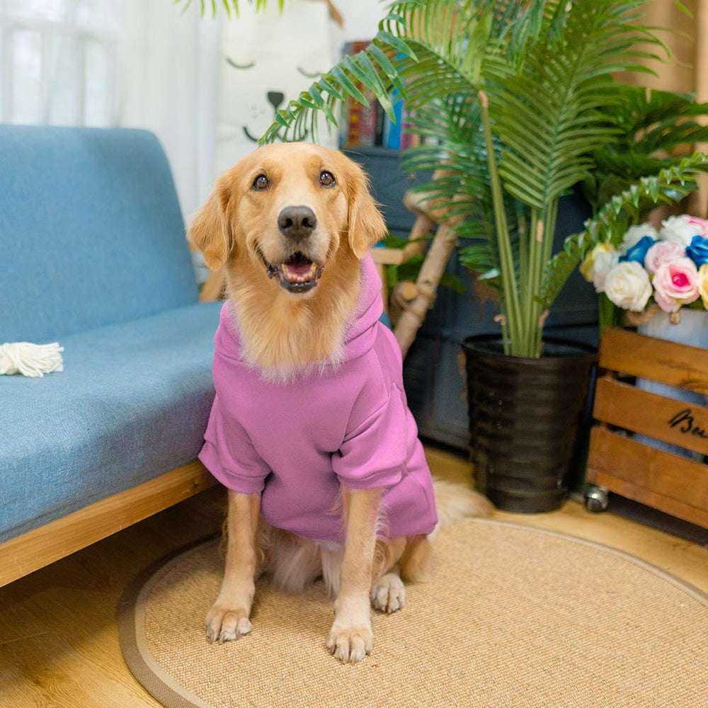 KOOLTAIL Basic Dog Hoodie machine-washable care for easy cleaning