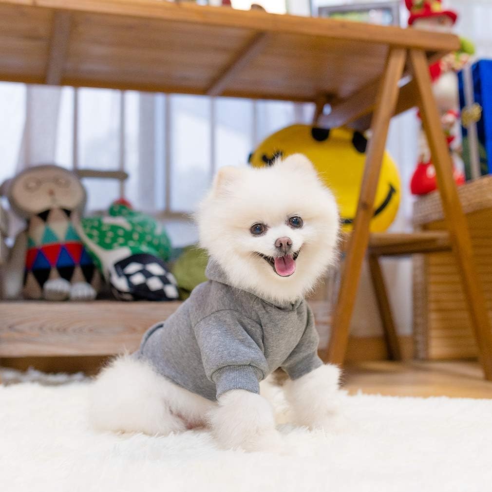 KOOLTAIL Basico Sudadera para Perro, talla adecuada, ajuste cómodo para razas pequeñas y medianas.