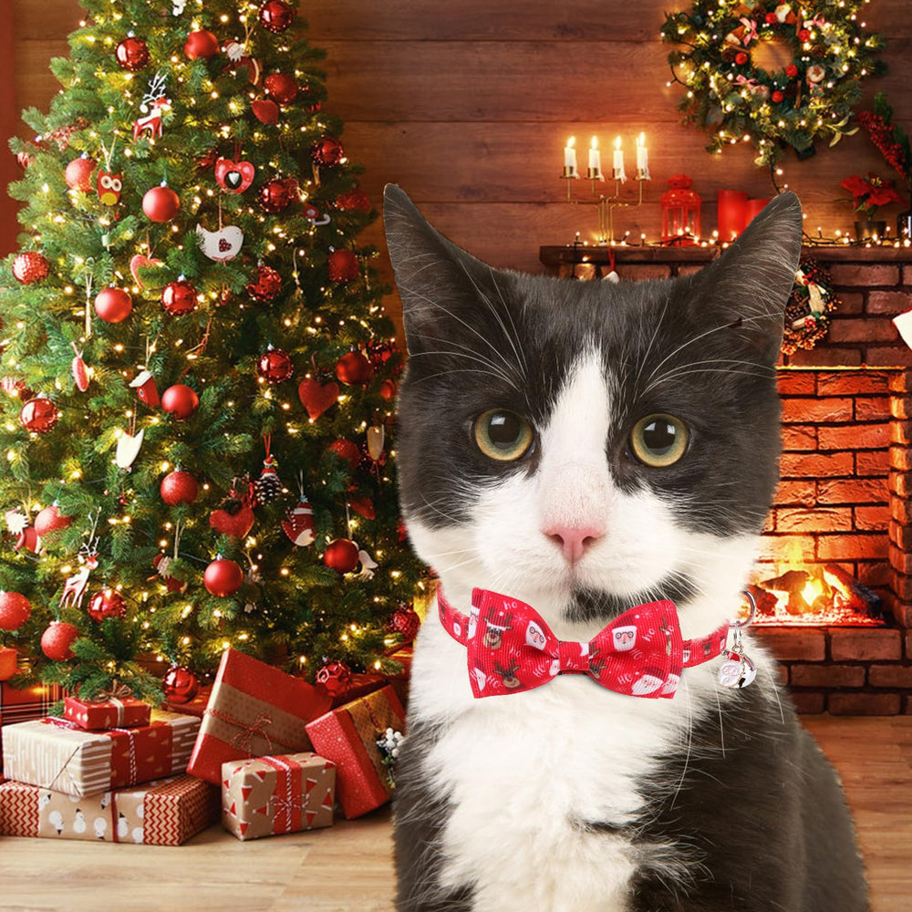 KOOLTAIL holiday-wear collar on cat for seasonal style.