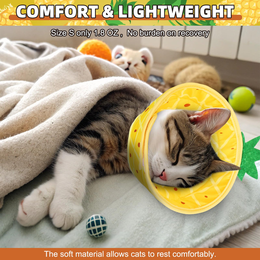 KOOLTAIL cat cone protects wounds by deterring licking after surgery