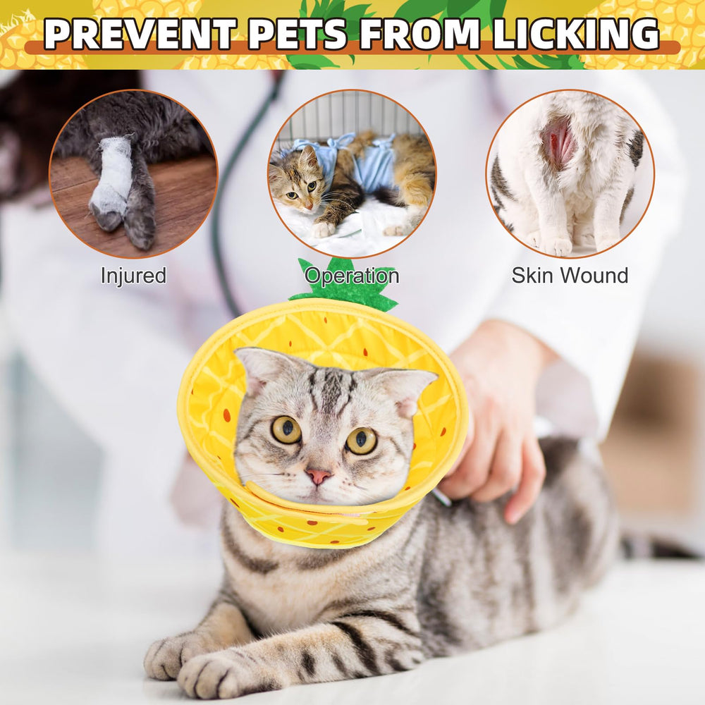 KOOLTAIL cat cone reversible pattern and color for customizable style