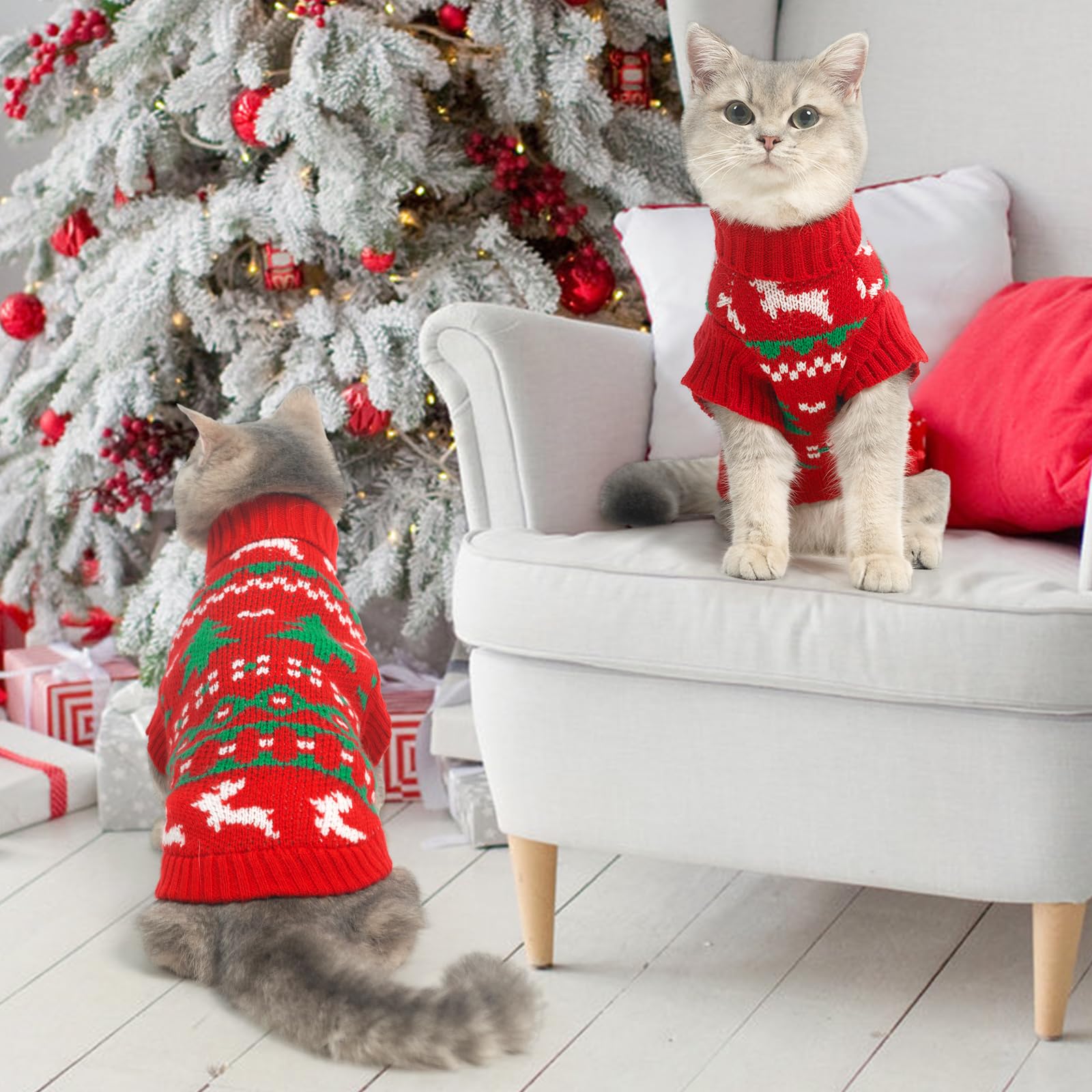 KOOLTAIL Cat Sweater holiday style view for parties and photos