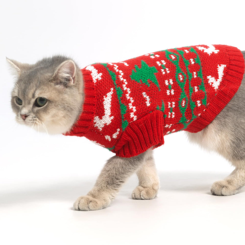 KOOLTAIL Cat Sweater worn by a cat for cozy outdoors