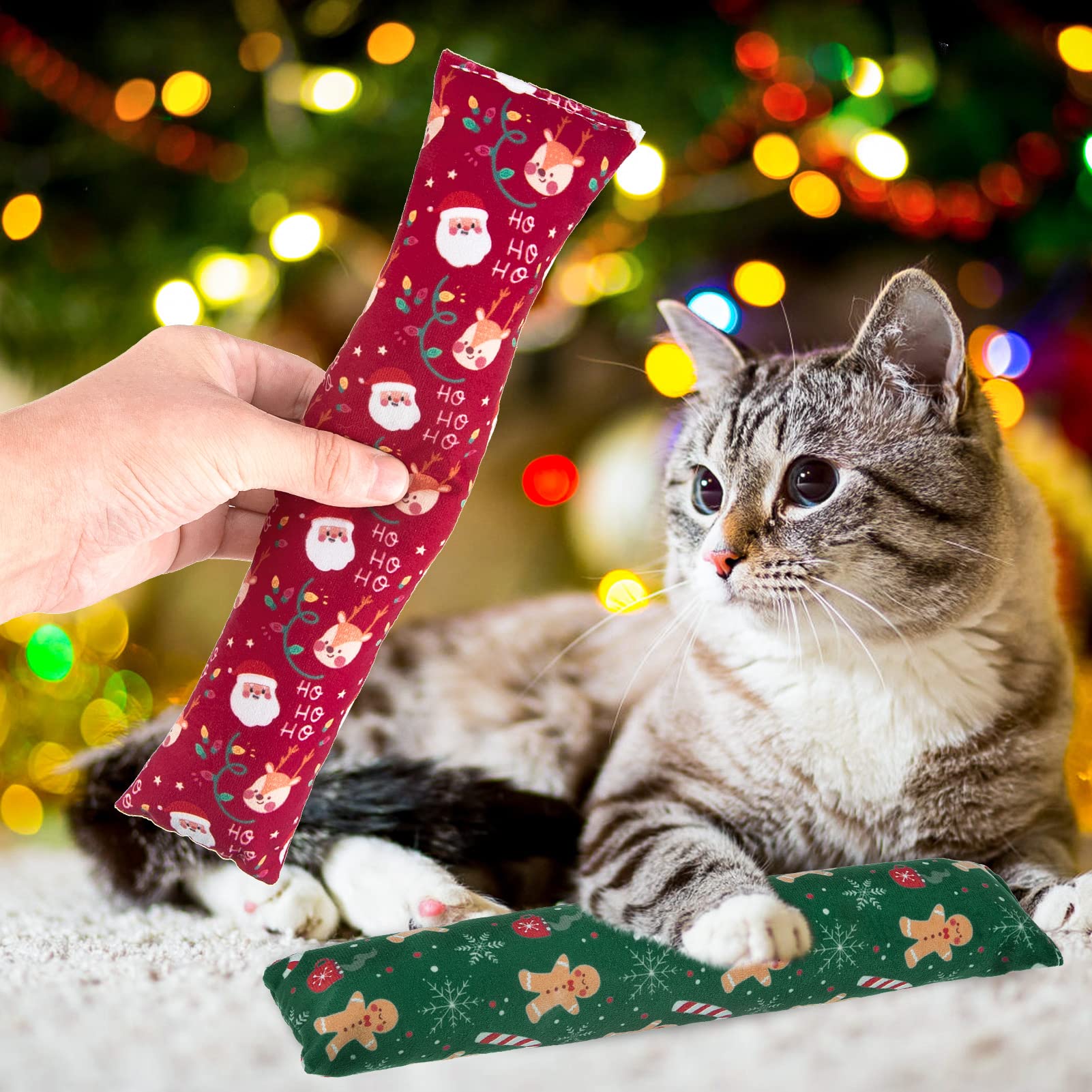 KOOLTAIL catnip toy pack scene showing unwrap-ready holiday gift