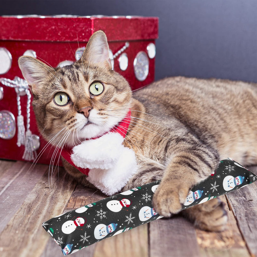 KOOLTAIL catnip toy in use during playtime with a kitten