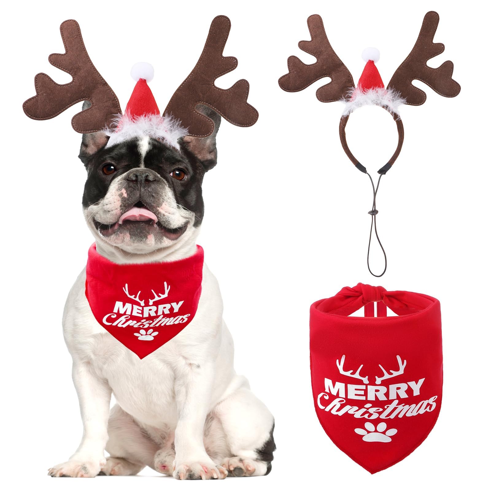 KOOLTAIL Christmas elk headband on dog for festive photos