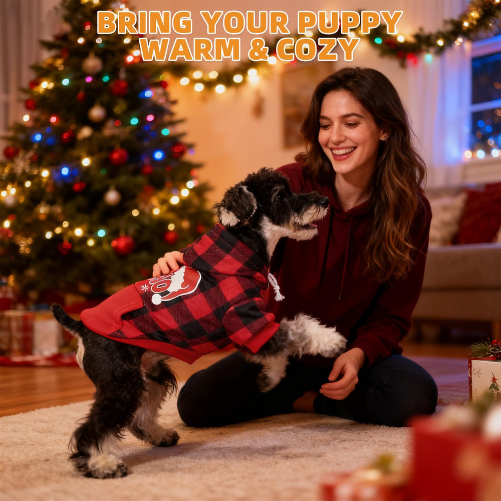 KOOLTAIL Christmas dog hoodie Santa-style for festive photos.