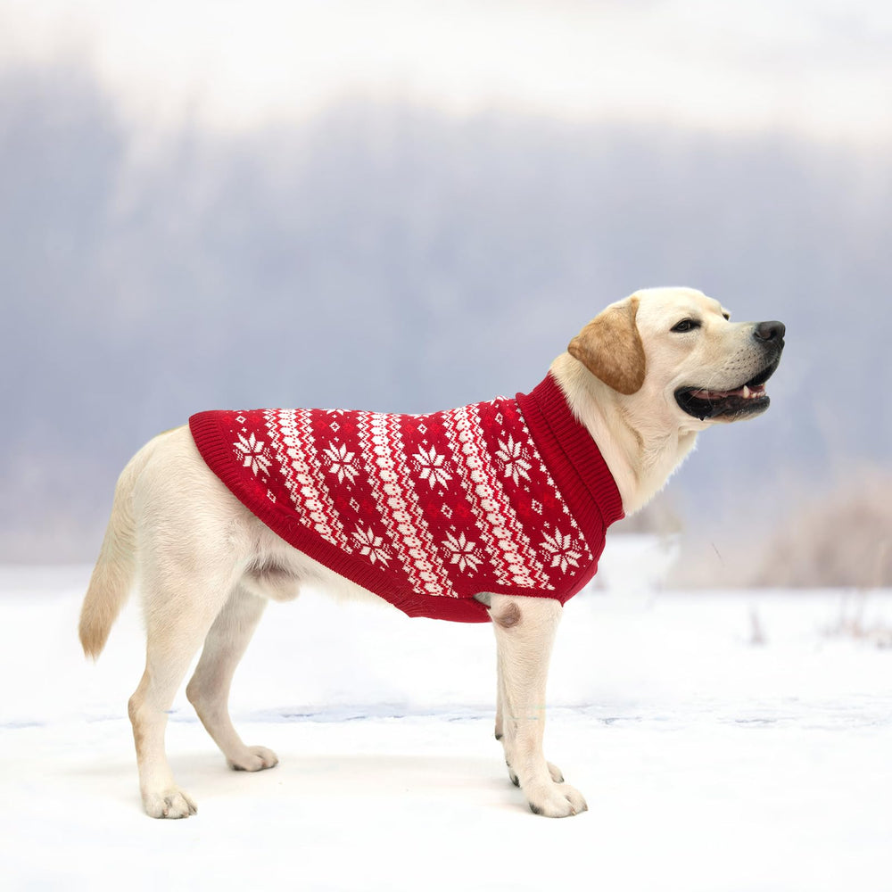 KOOLTAIL red dog sweater on pet during holiday walk