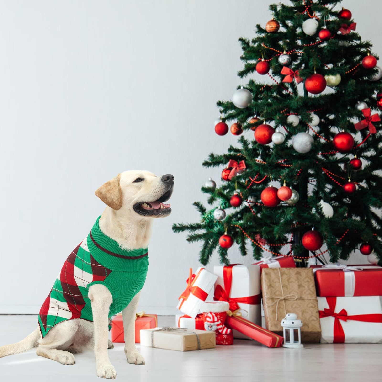 KOOLTAIL color options plaid green and red for holiday photo moments