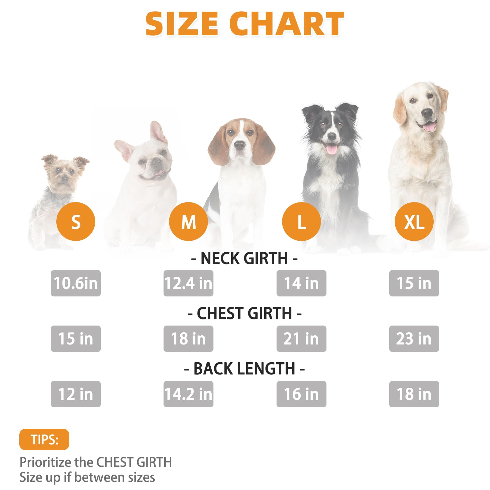 KOOLTAIL Dachshund Hoodie back pocket detail ideal for treats and small essentials.