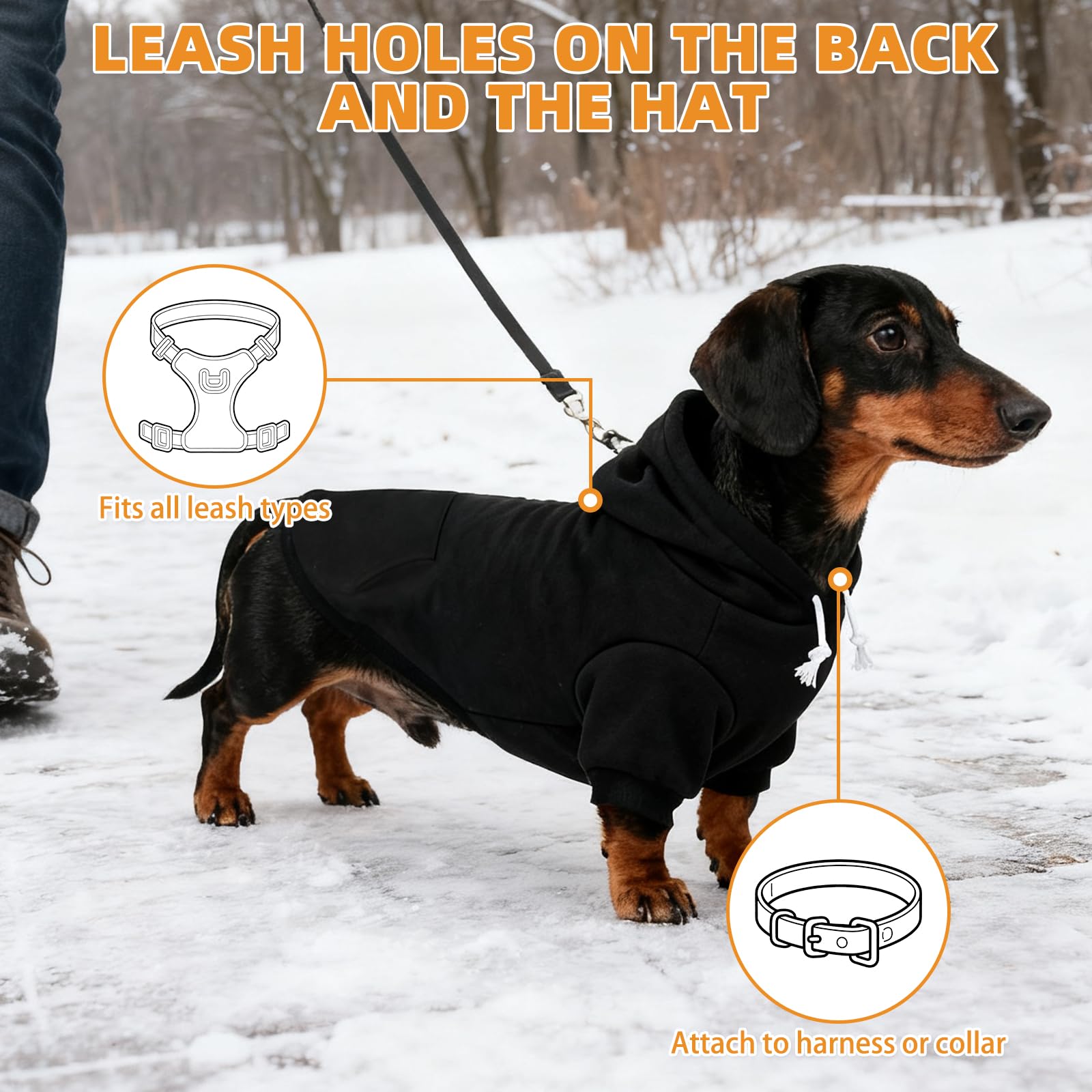 KOOLTAIL Dachshund Hoodie machine washable and durable for daily wear.