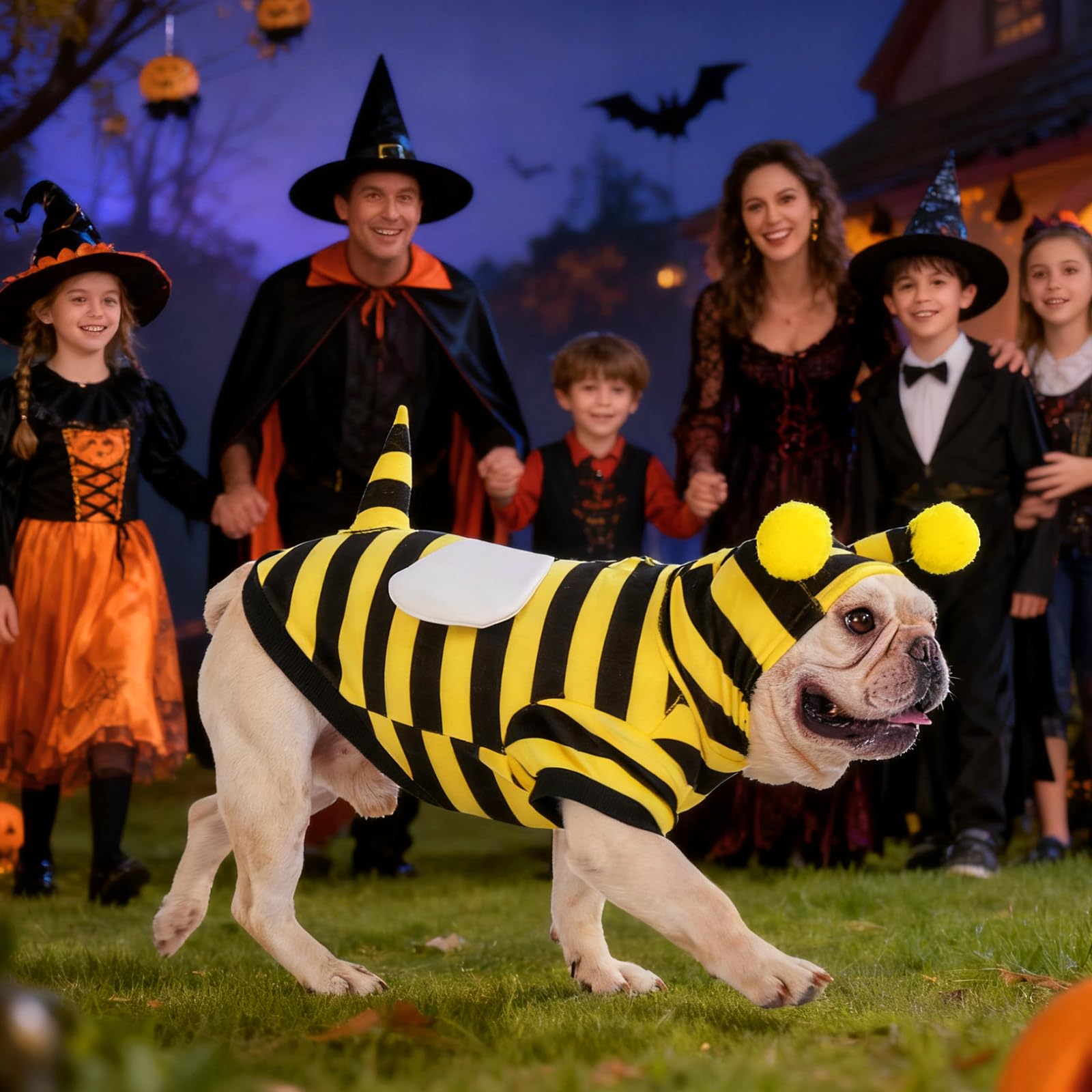 KOOLTAIL Dog Bee Costume worn during walks for cozy outdoor outings