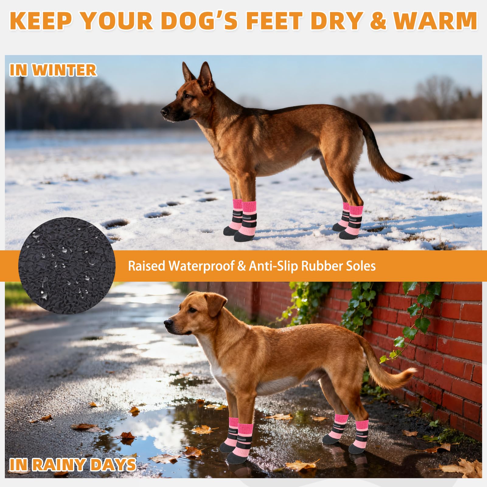 KOOLTAIL all-season paw protection suitable for hiking, snow, and rough terrain.
