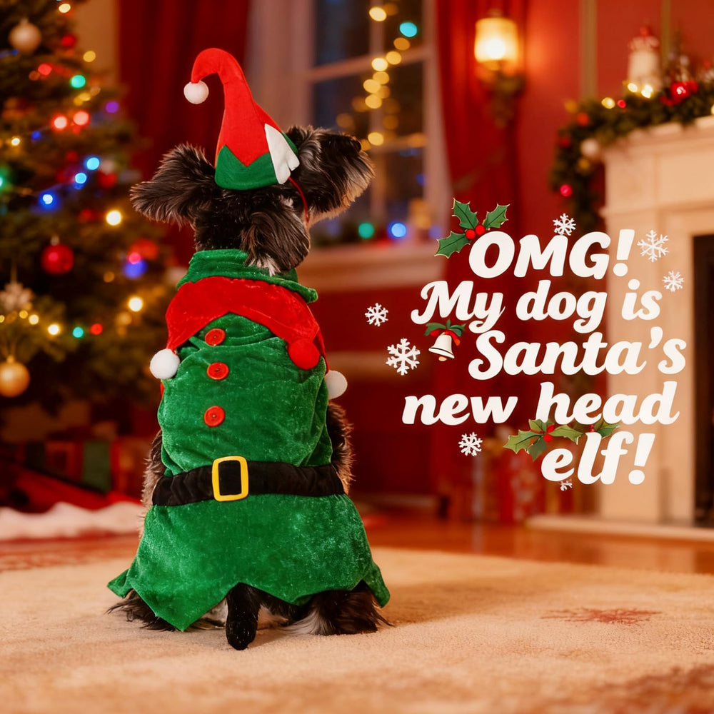 KOOLTAIL dog Christmas costume full set worn for easy dressing and festive photos