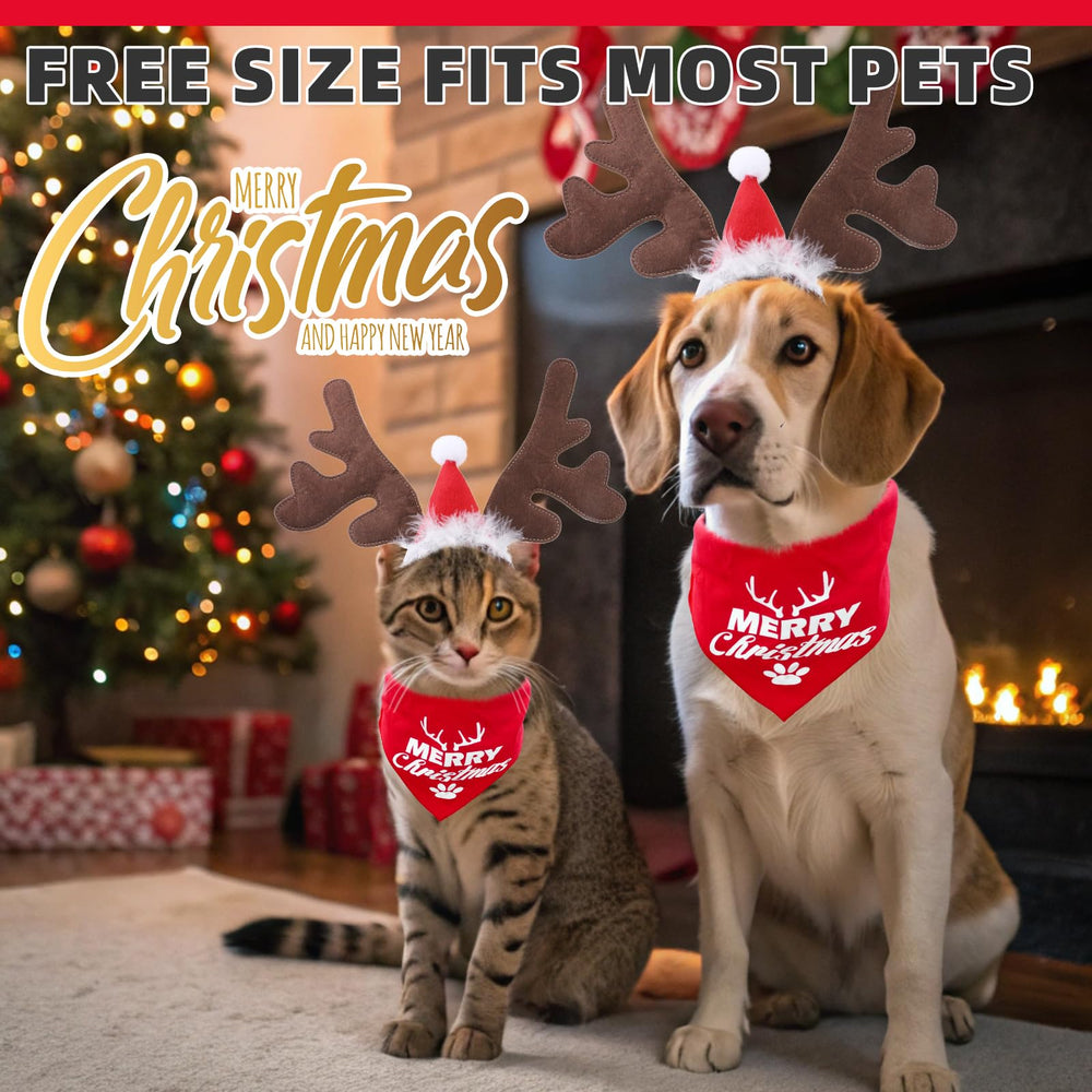 KOOLTAIL festive pet photo prop boosts holiday memories