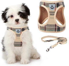 KOOLTAIL dog harness plaid beige on small dogs for stylish comfort and secure fit.
