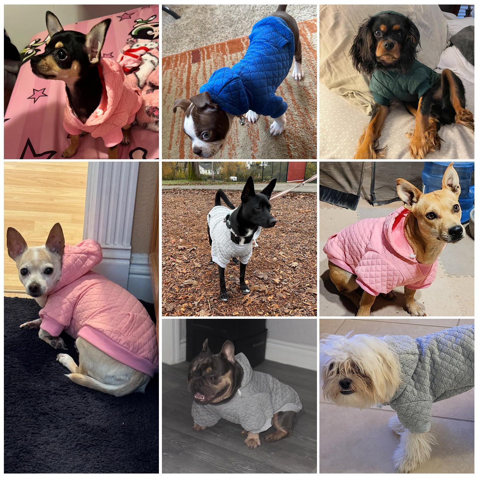 KOOLTAIL dog hoodie belly cut — easy bathroom breaks while keeping core warm.