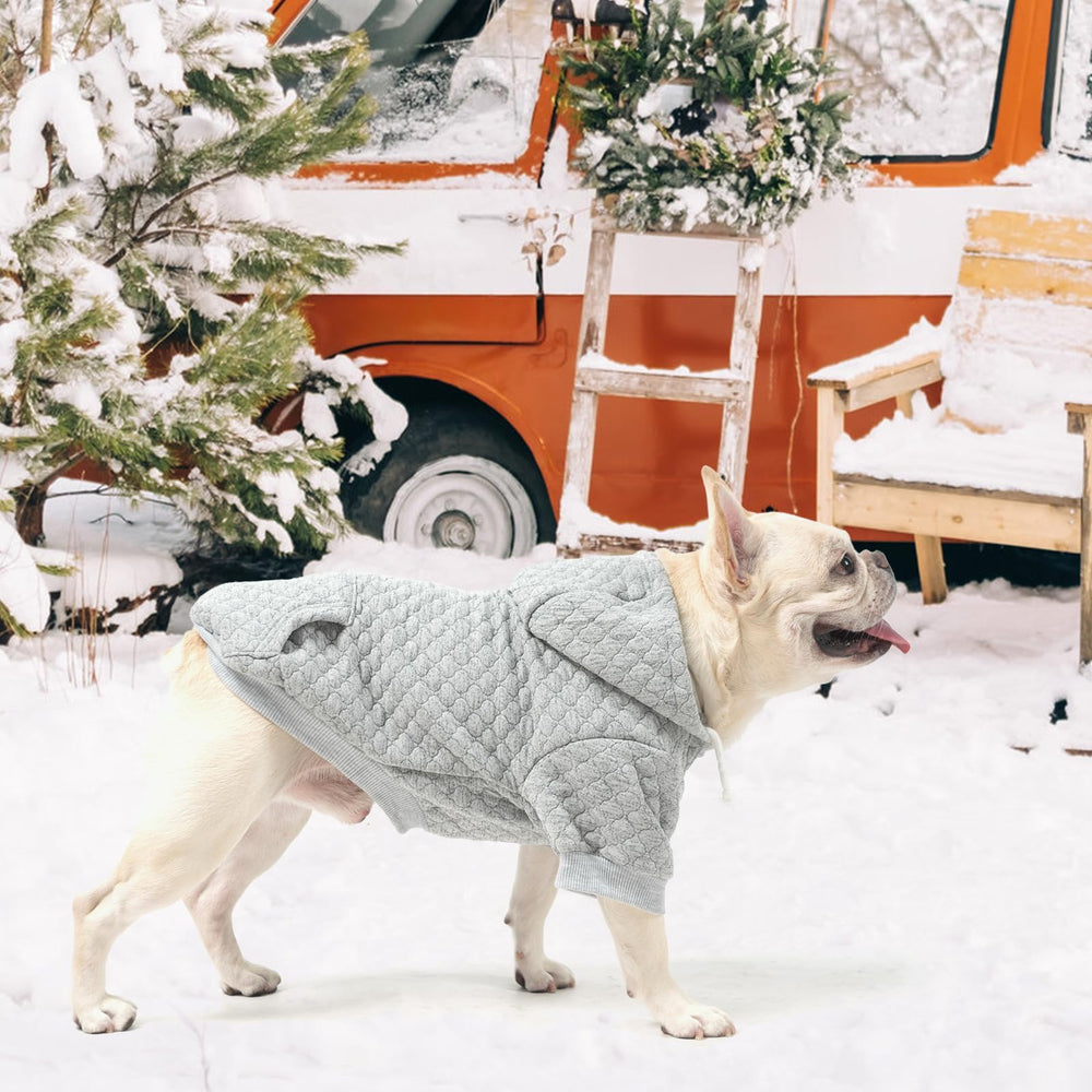KOOLTAIL dog hoodie care instructions — machine washable for busy pet owners.