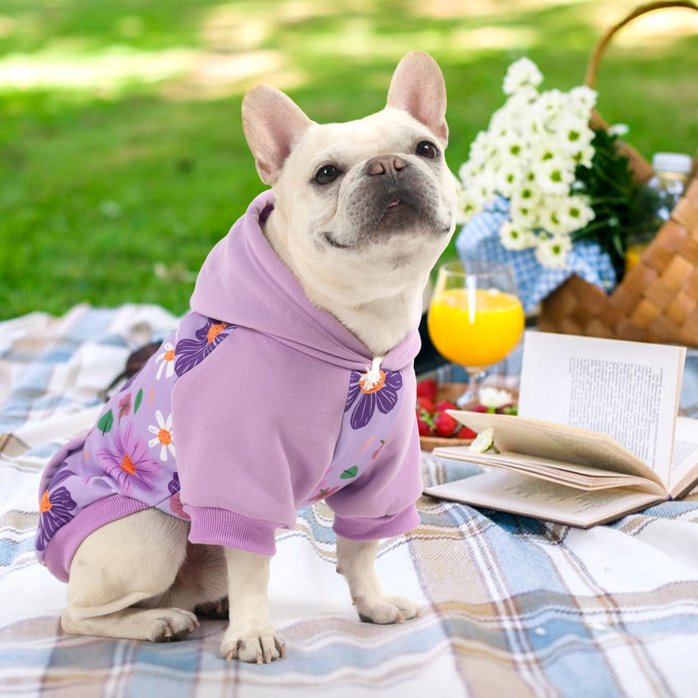 KOOLTAIL dog hoodie color variants for versatile daily wear.