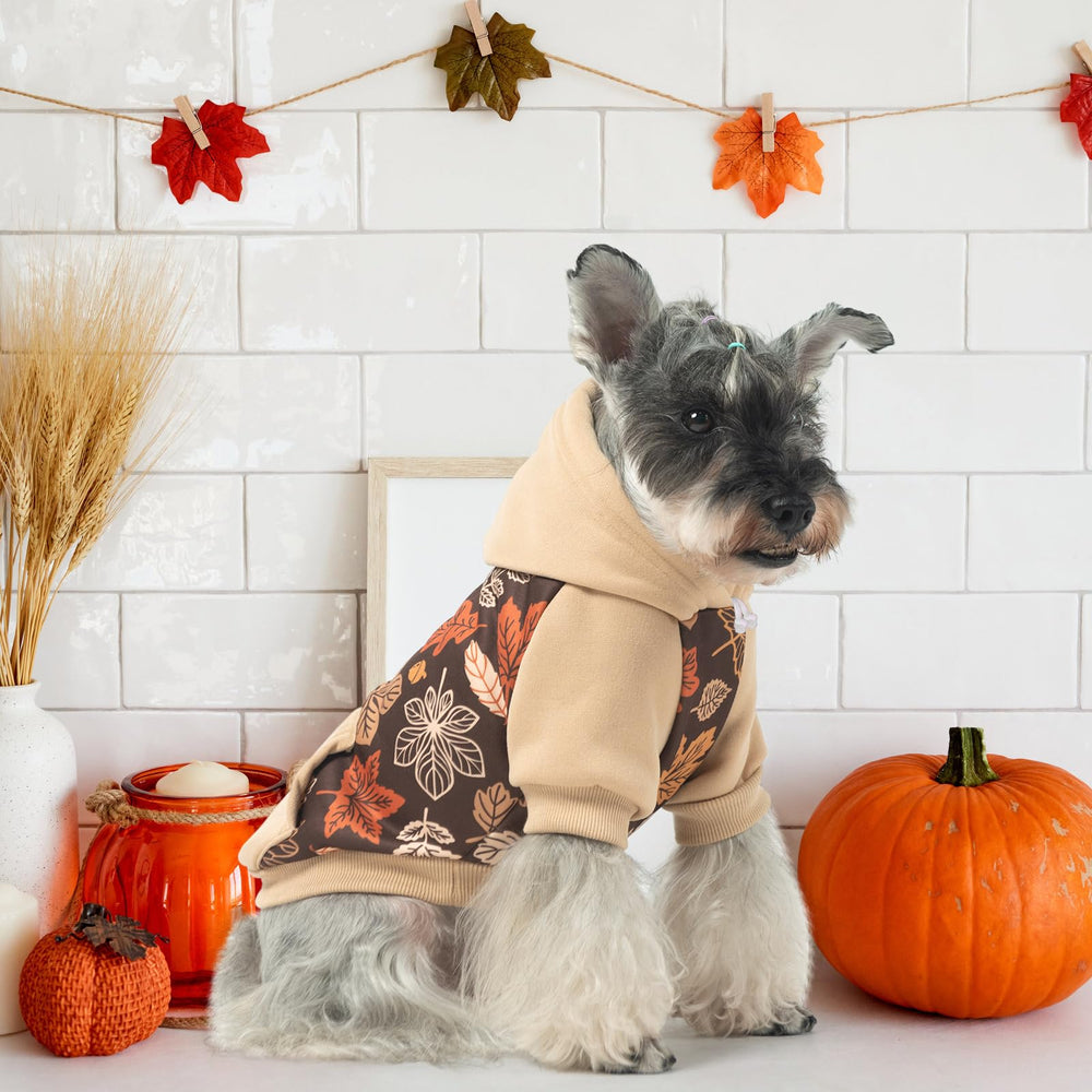 KOOLTAIL dog hoodie easy-on-off pullover design for quick changes