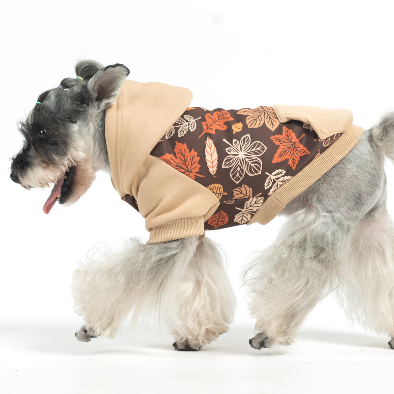 KOOLTAIL dog hoodie elastic cuffs ensuring snug fit