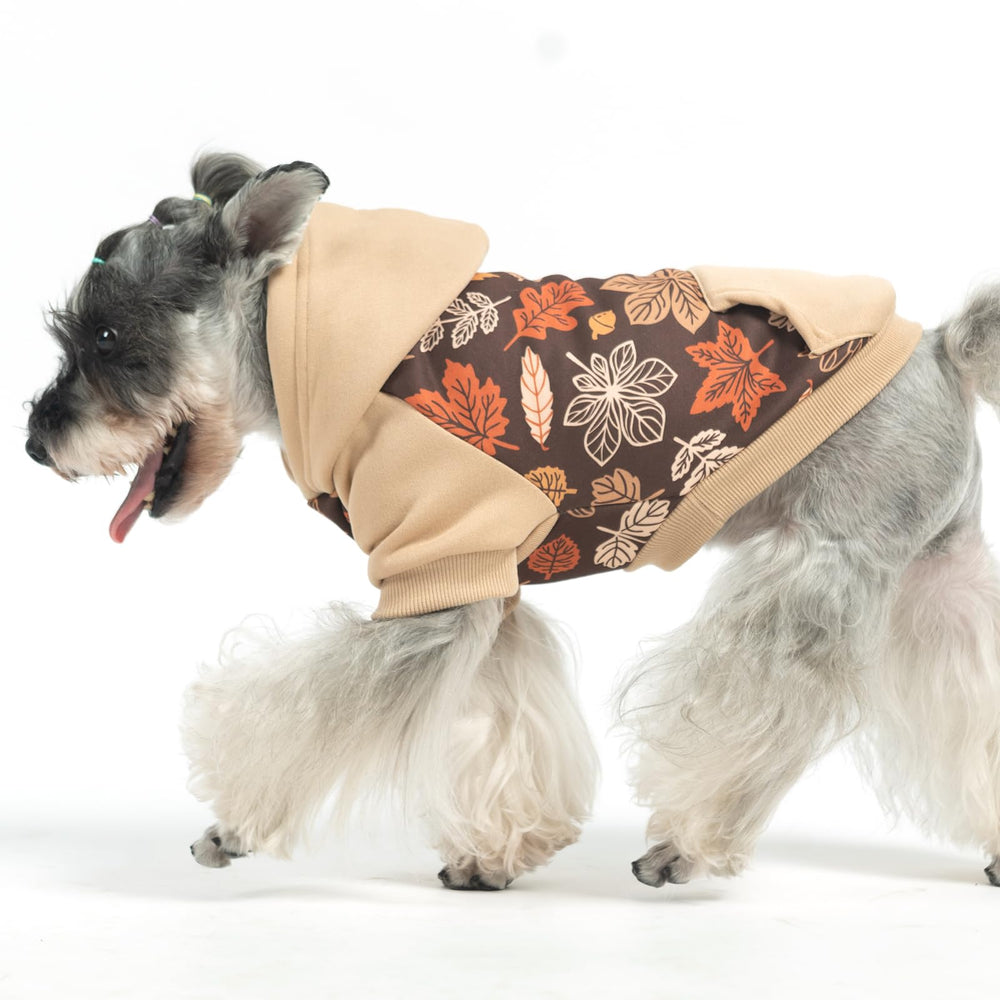KOOLTAIL dog hoodie elastic cuffs ensuring snug fit
