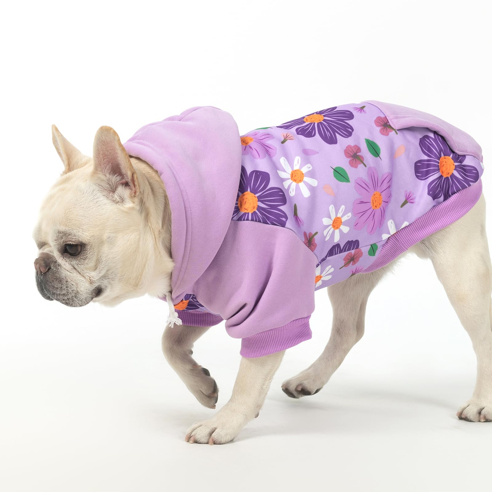 KOOLTAIL dog hoodie elastic cuffs ensure comfortable movement.