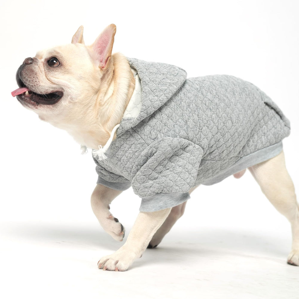KOOLTAIL dog hoodie waffle-texture fabric — breathable warmth for winter days.