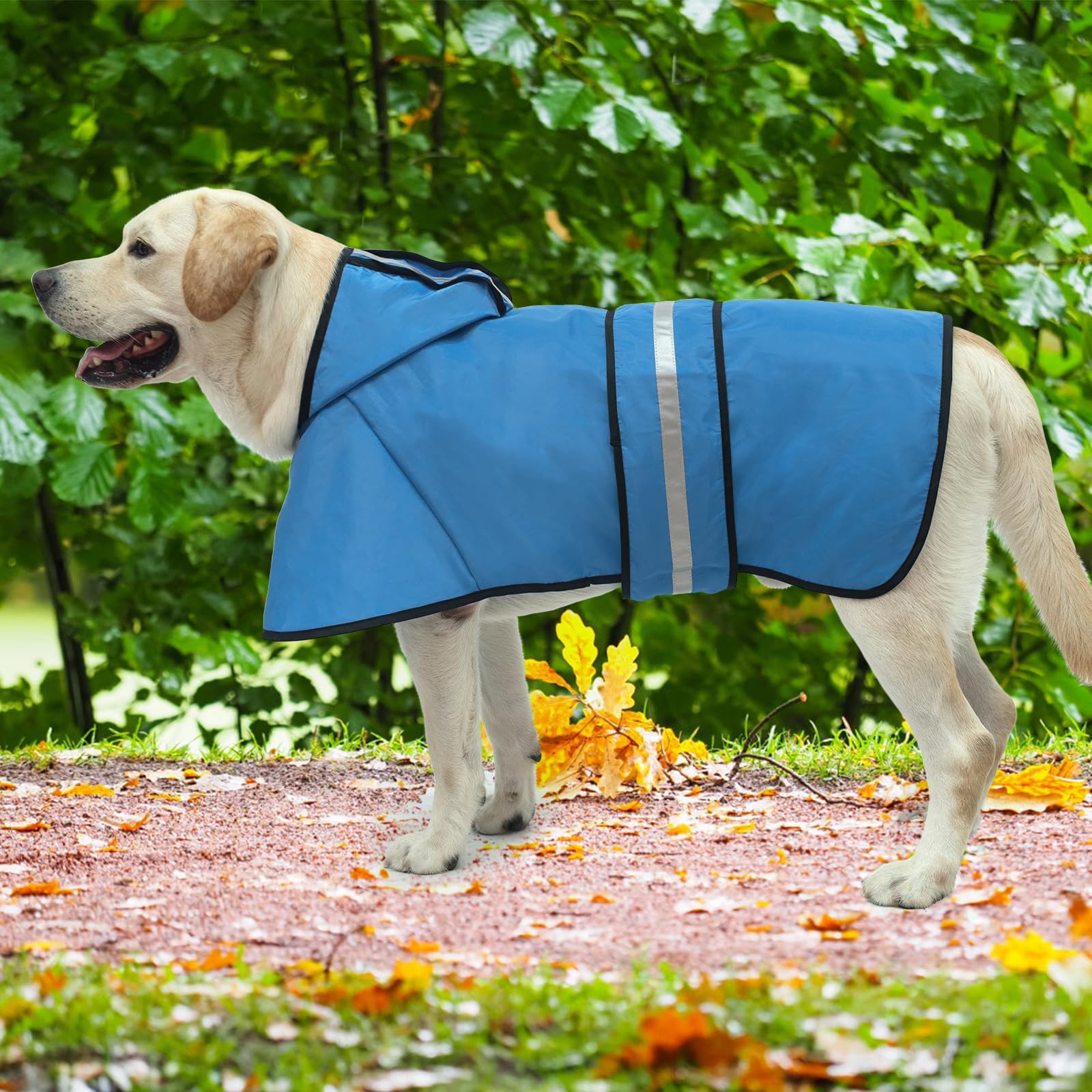 Kooltail dog raincoat color pattern checkered offers stylish options.