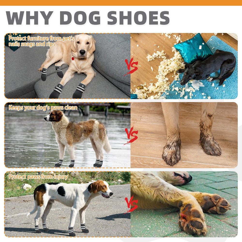 KOOLTAIL dog shoes designed for hiking and beach trips during rugged adventures.
