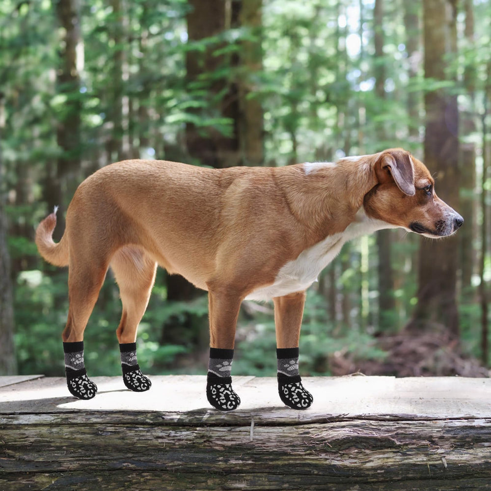 KOOLTAIL dog socks anti-scratch-floor-protection reduce furniture scratches