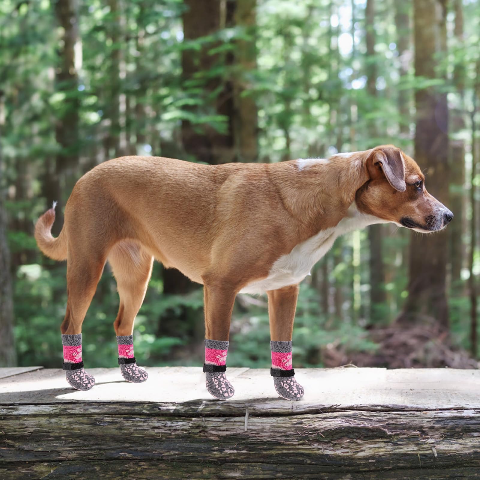 KOOLTAIL dog socks breathable-fabric keeps paws comfy.