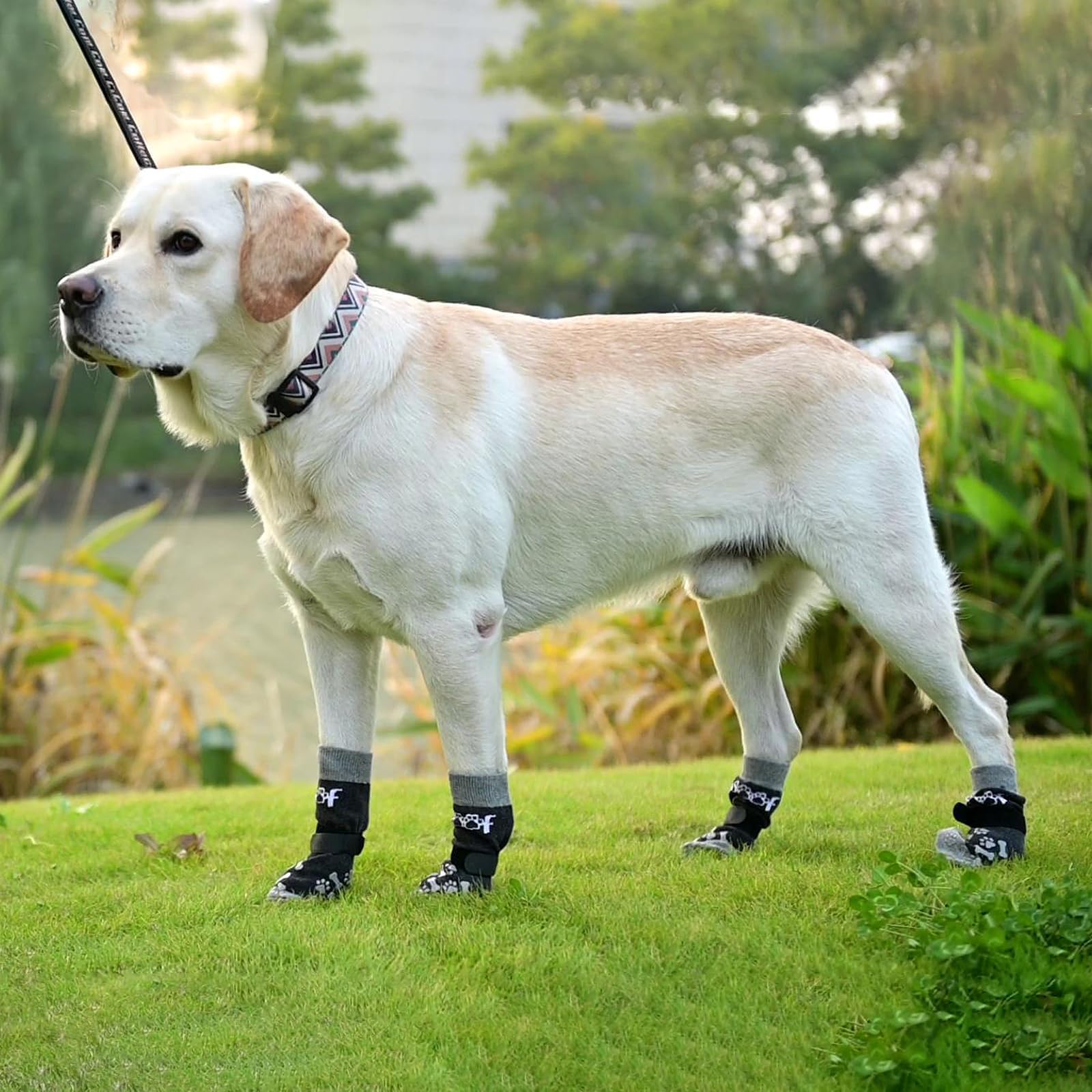 KOOLTAIL dog socks easy care and machine washable for quick maintenance.