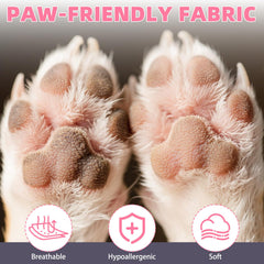 KOOLTAIL dog socks on hot pavement deliver breathable cooling during summer walks.