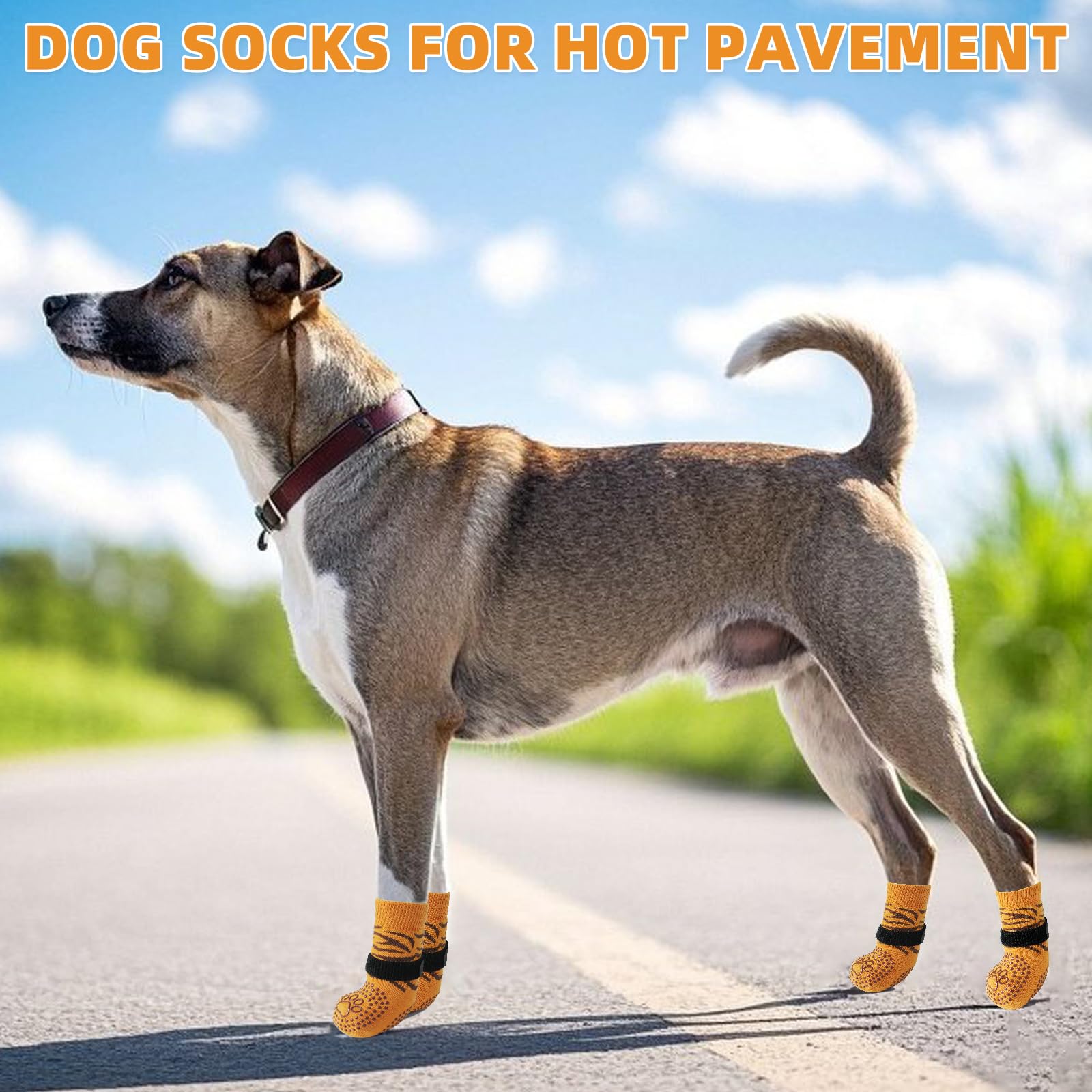 Kooltail dog socks prevent licking paws during recovery and anxious moments