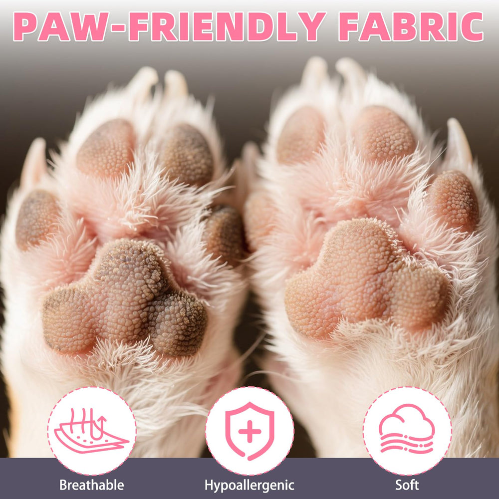 KOOLTAIL dog socks size guide with measurement tips for better fit