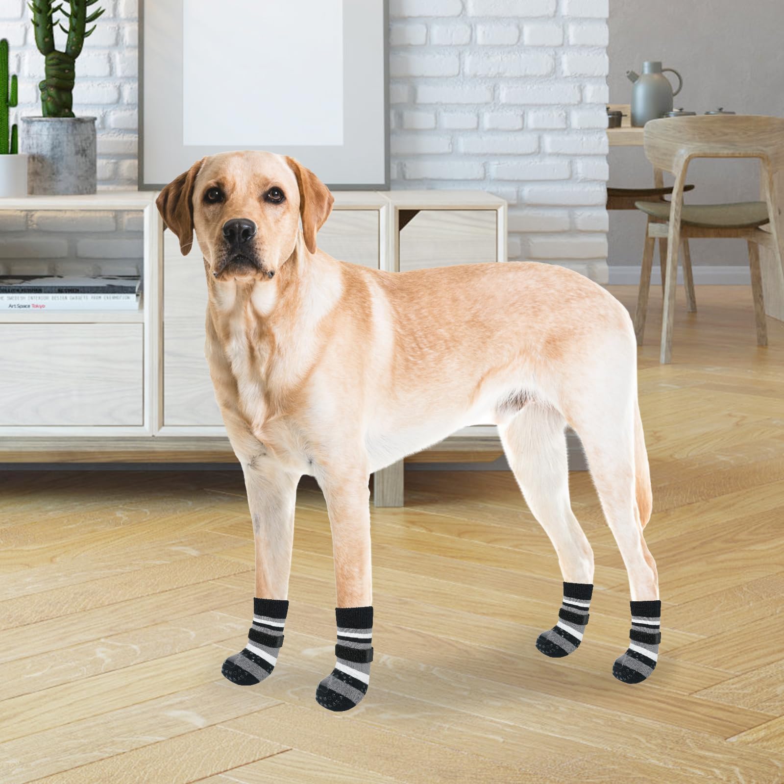 KOOLTAIL paw-protection on rough ground keeps paws safe from stones